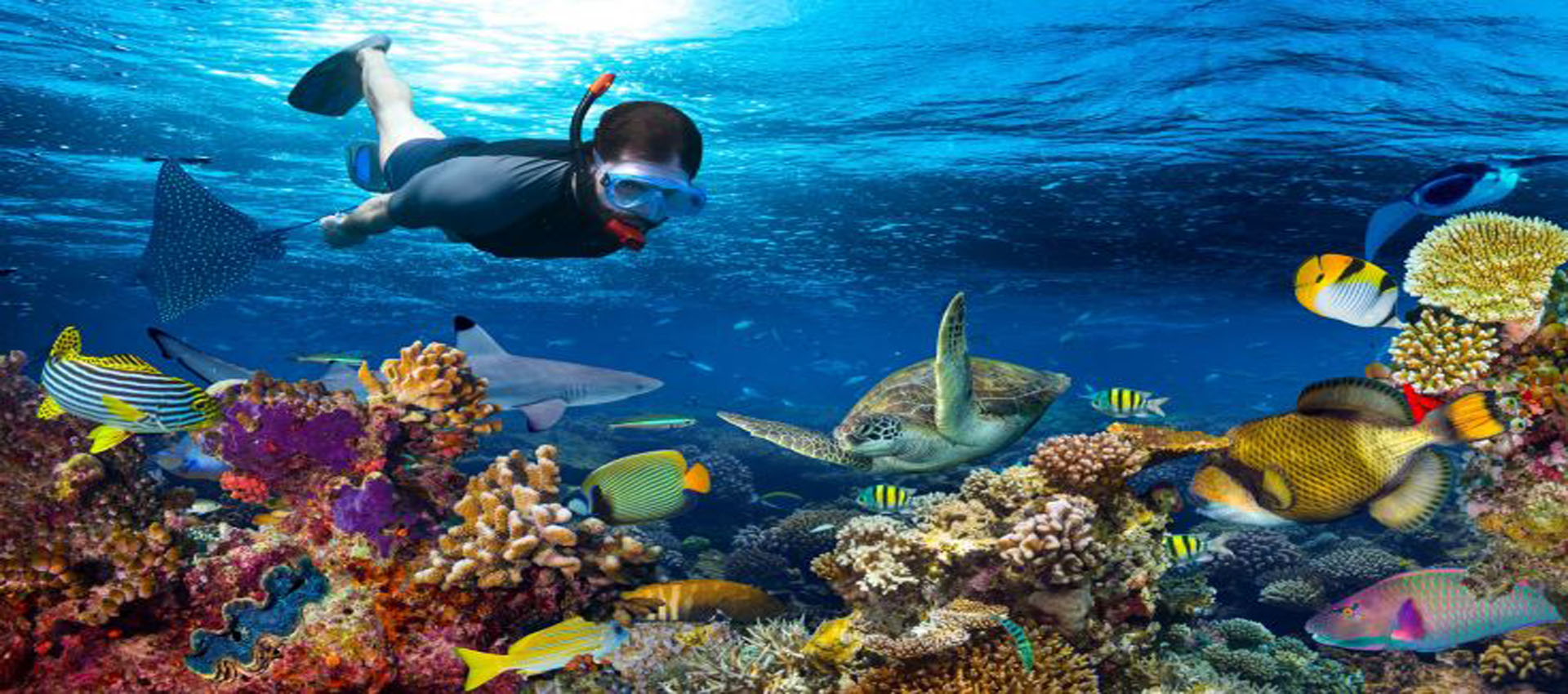 Zantrips and Tours Ltd