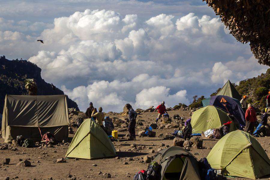 7 Days Tanzania Budget Safari