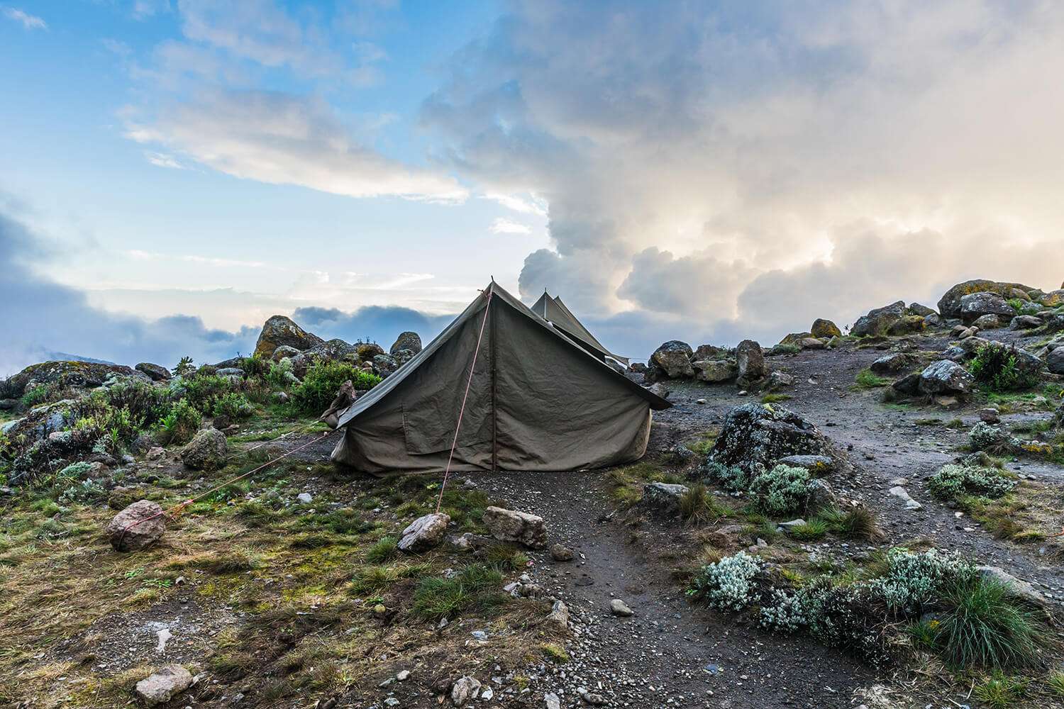 Nakupenda Beach Experience