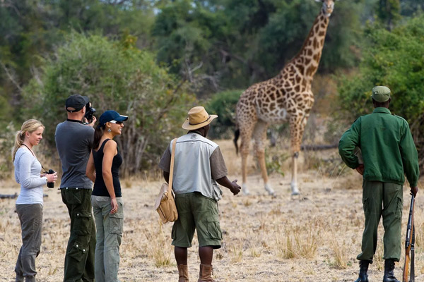 Tanzania Tipping Guide