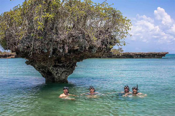 Safari Blue - Full Day Sea Adventure tou