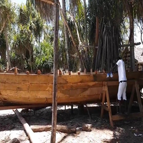 Mnemba Snorkelling Experience