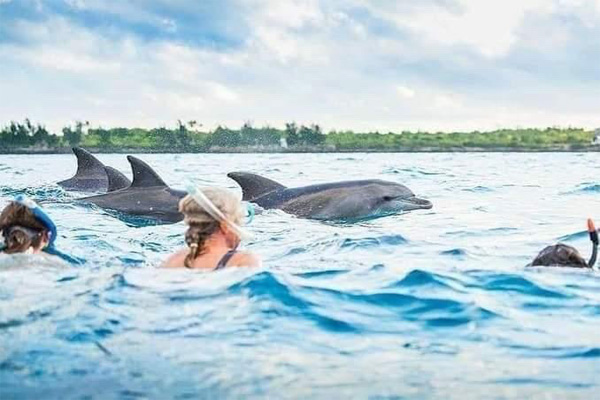 8 Days Wildebeest Migration Safari