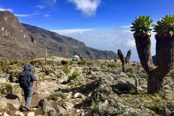 Best Time To Climb Kilimanjaro