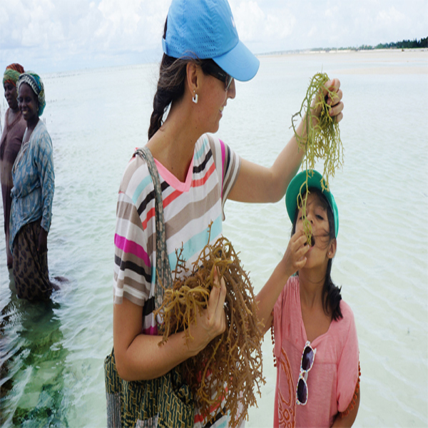Kuza Cave and Sea weed Farming tours