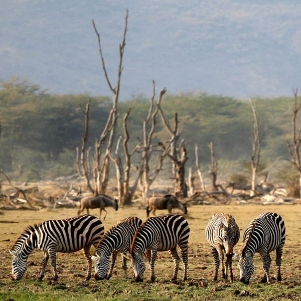 Lake Manyara National Park