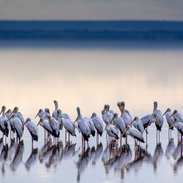 Lake Manyara National Park