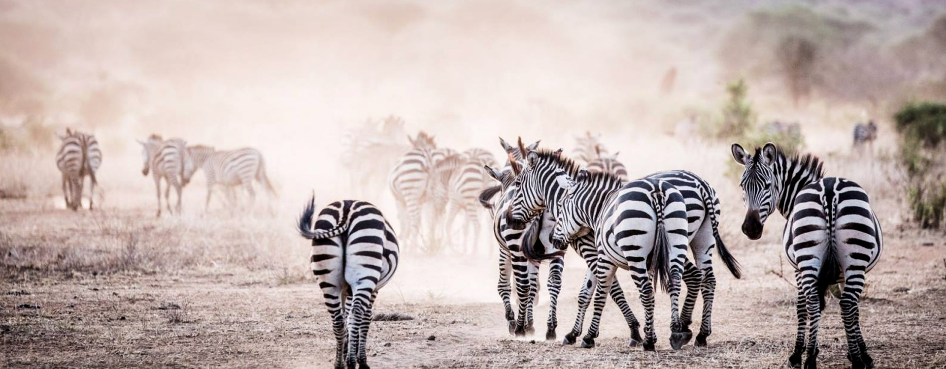 Lake Manyara National Park