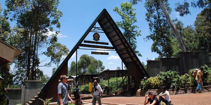 Arusha - Machame Gate - Machame Hut
