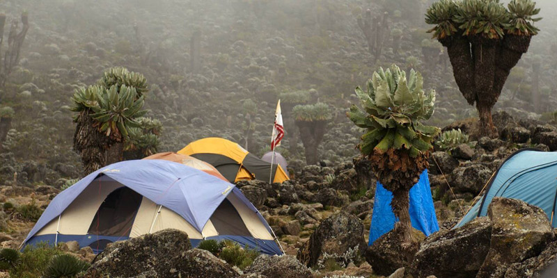 Shira Cave - Barranco