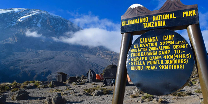 Barranco Camp (3960m) to Karanga Camp
