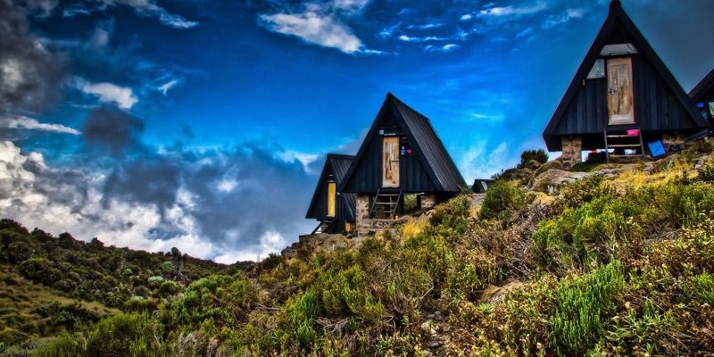 Hike Mandara Hut to Horombo Hut