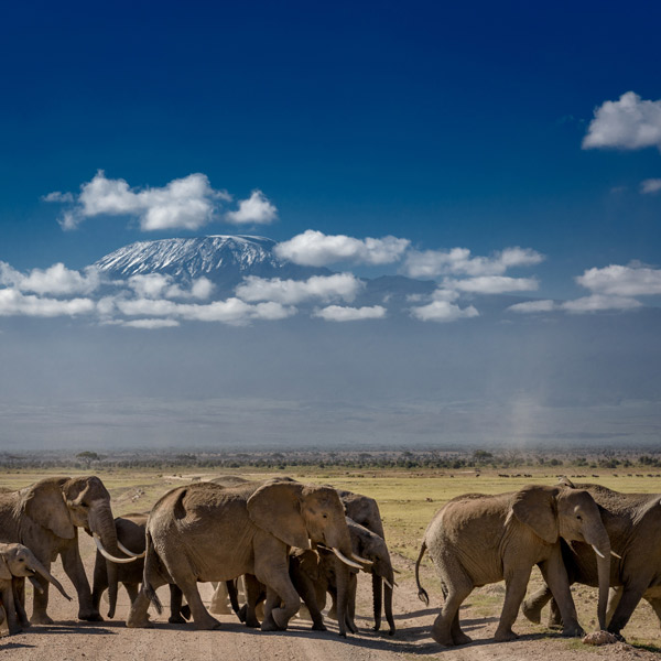 Kilimanjaro National Park
