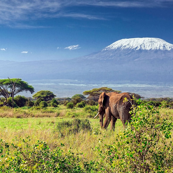 Kilimanjaro National Park