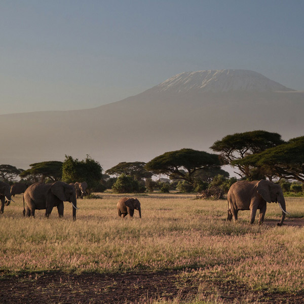 Kilimanjaro National Park