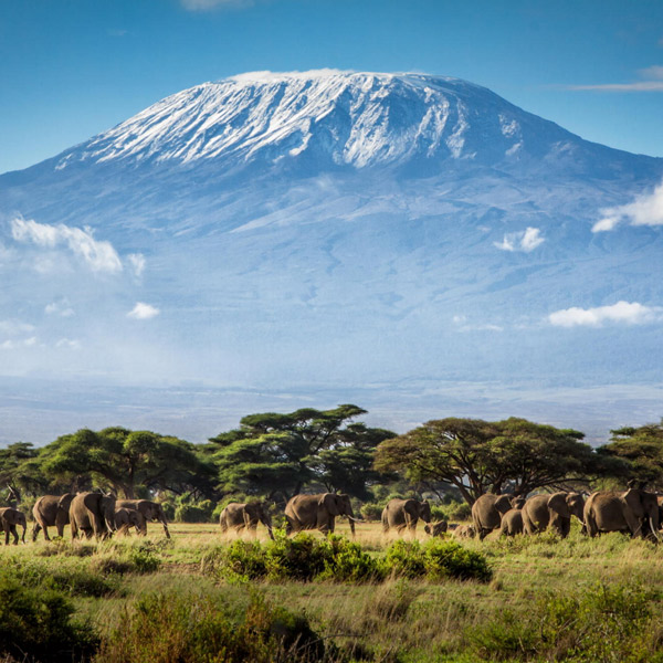Kilimanjaro National Park