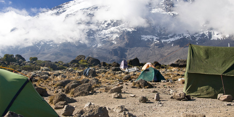 MtiMkubwa Camp to Shira 1 Camp