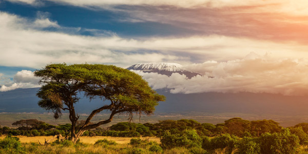 Kilimanjaro National Park