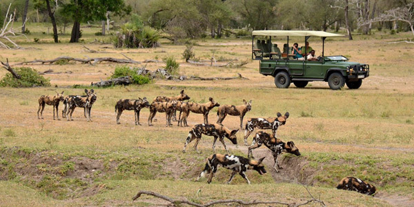 Selous Game Reserve