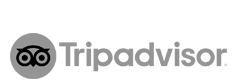Trip Advisor