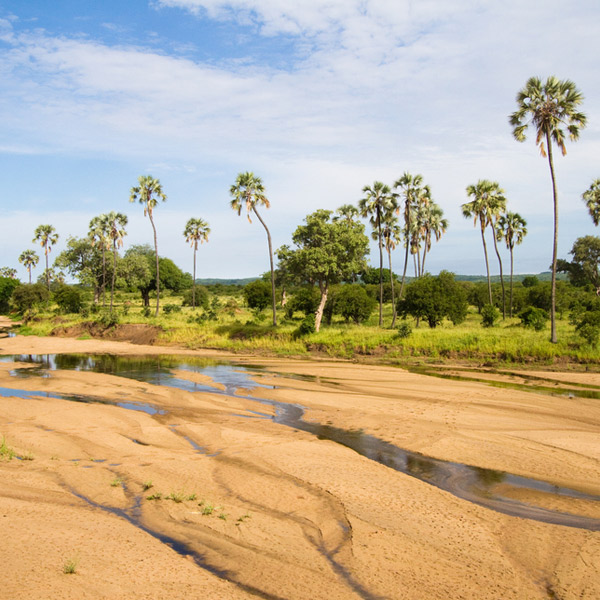 Ruaha National Park
