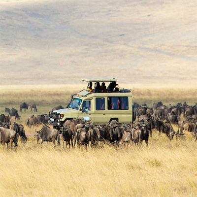 5 Days Tanzania Luxury Safari