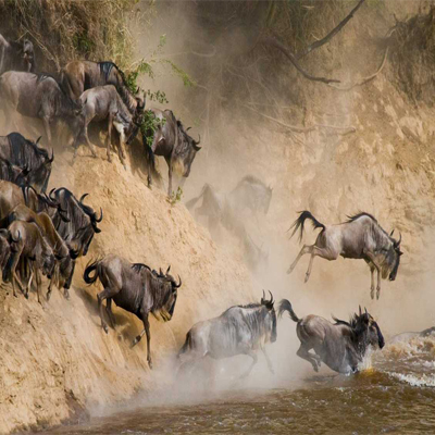 10 Days Tanzania Honeymoon Safari