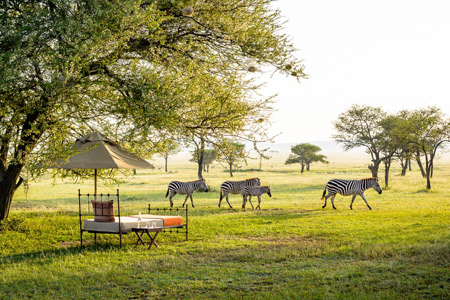 Tanzania Luxury Safari