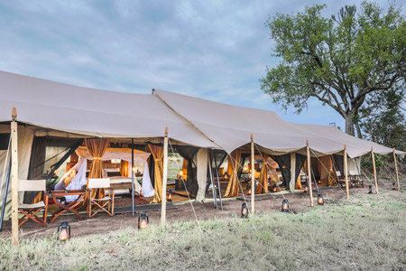 Tanzania Mid-Range Safari