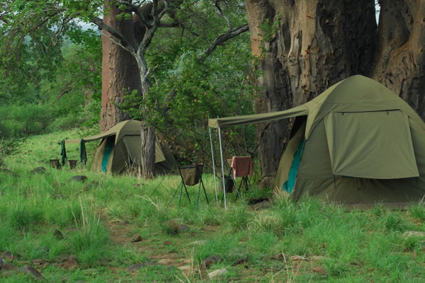 7 Days Tanzania Budget Safari