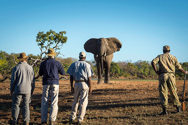 8 Days Tanzania Walking Safari