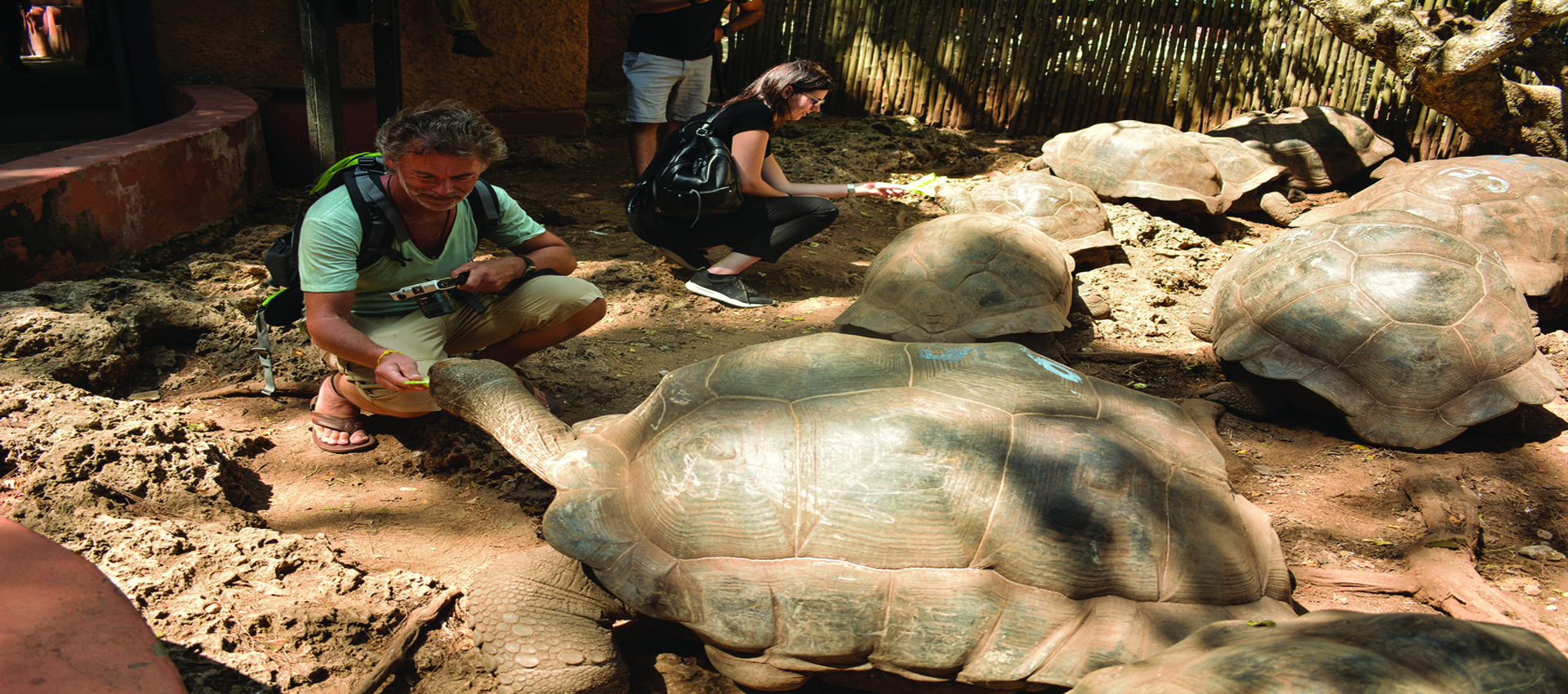 Zantrips and Tours Ltd