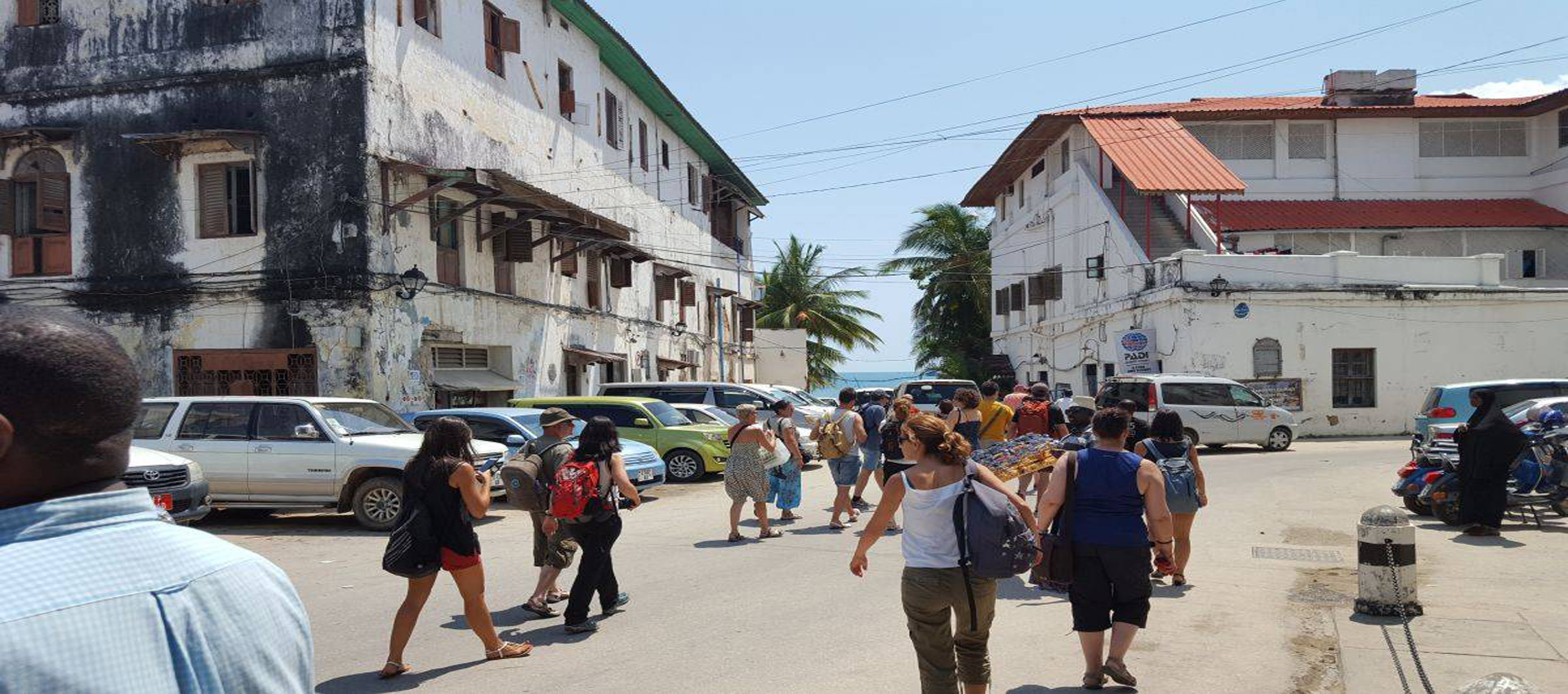 Zantrips and Tours Ltd