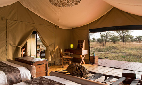 Katikati Tented Camp