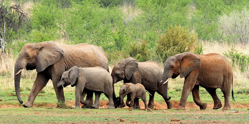 Tarangire National Park