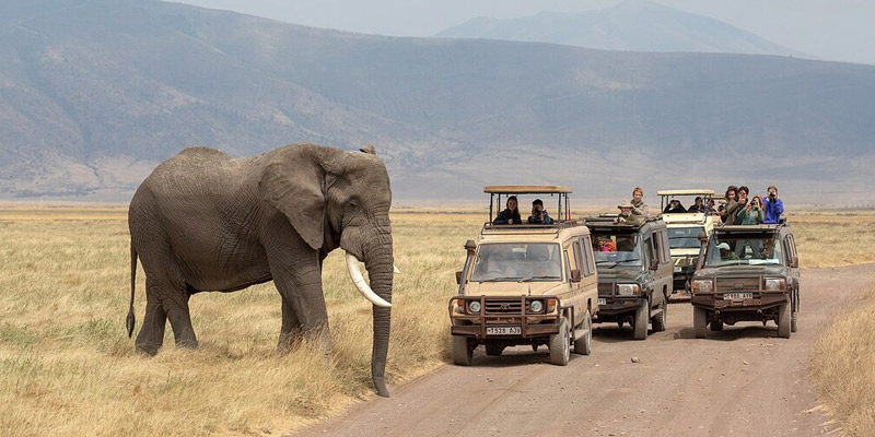 Ngorongoro Conservation Area