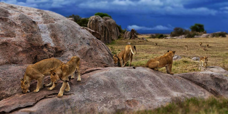 Serengeti National Park