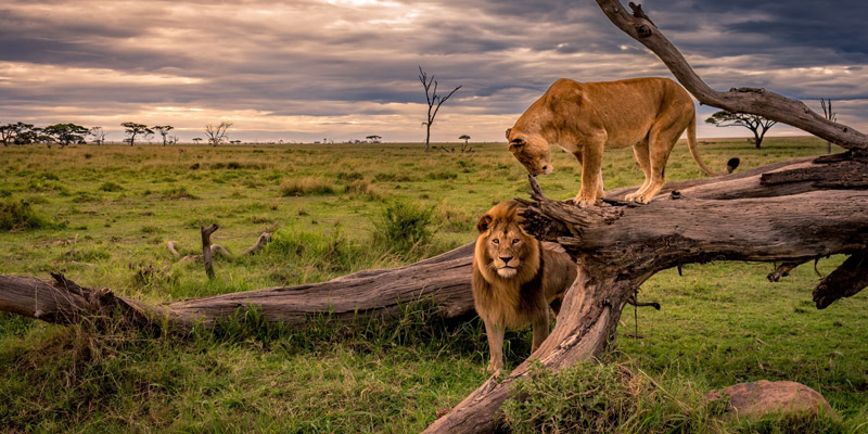 Tarangire to Lake Manyara National Park