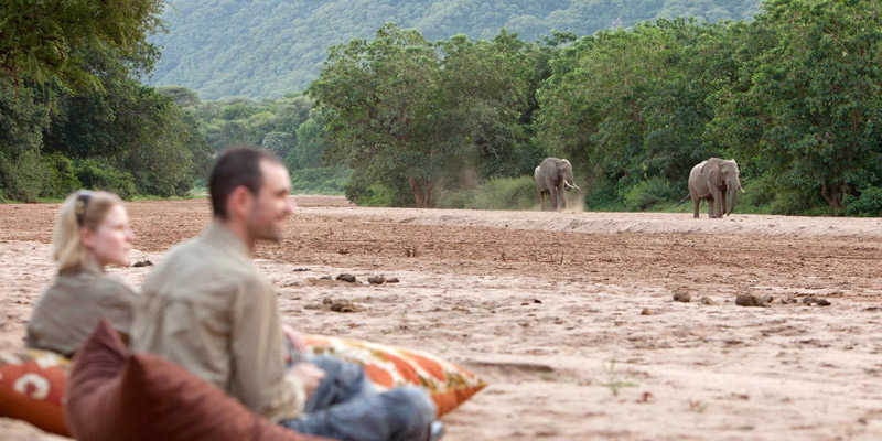 Lake Manyara to Serengeti National Park