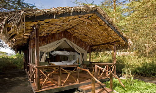 African Manyara Tented Camp