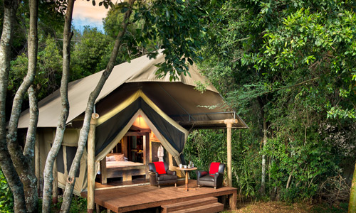 African Manyara Tented Camp