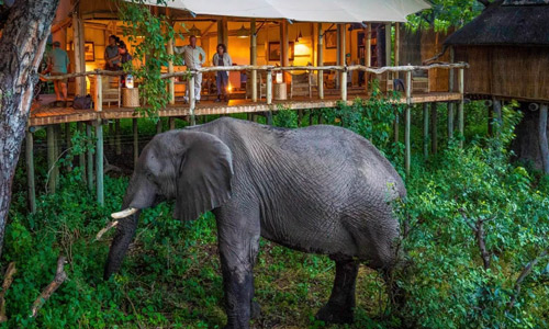 Serona Wildlife Lodge