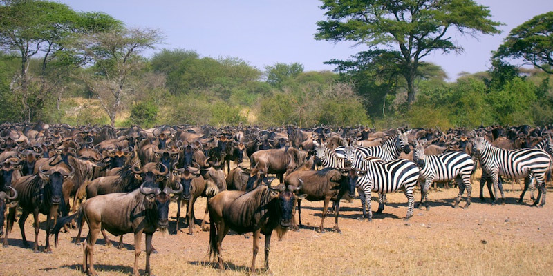 Serengeti National Park