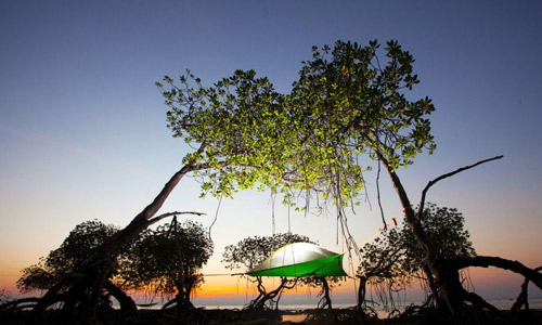 Thorn Tree Tented camp