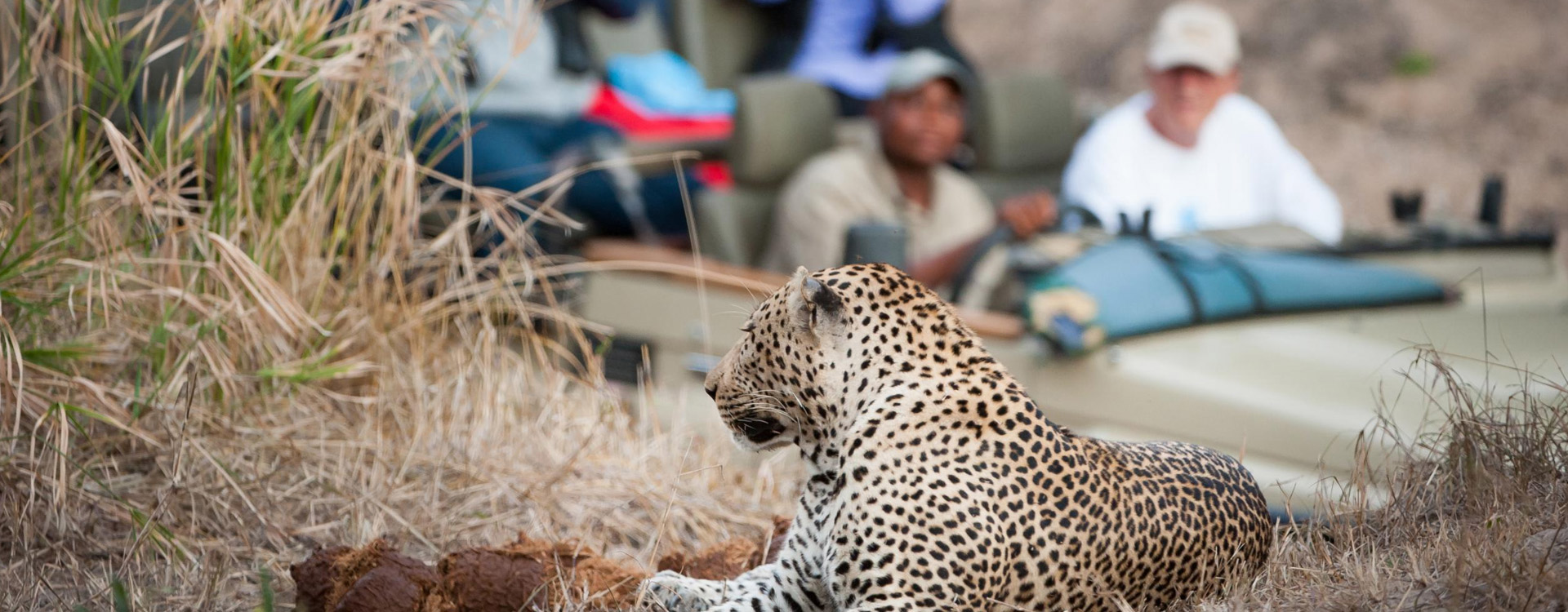 Tanzania Safari Safety