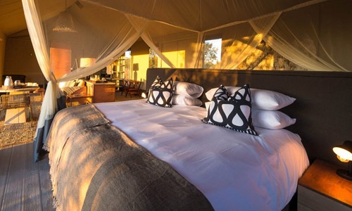 Katikati Tented Camp
