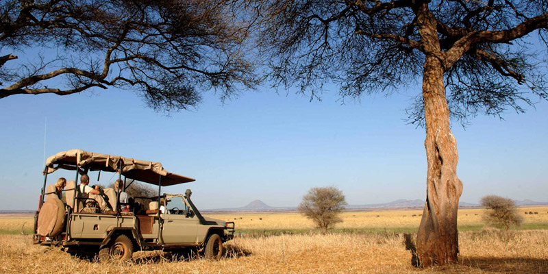 Tarangire Day Trip