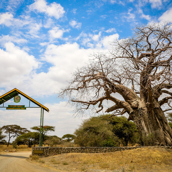 Tarangire National Park